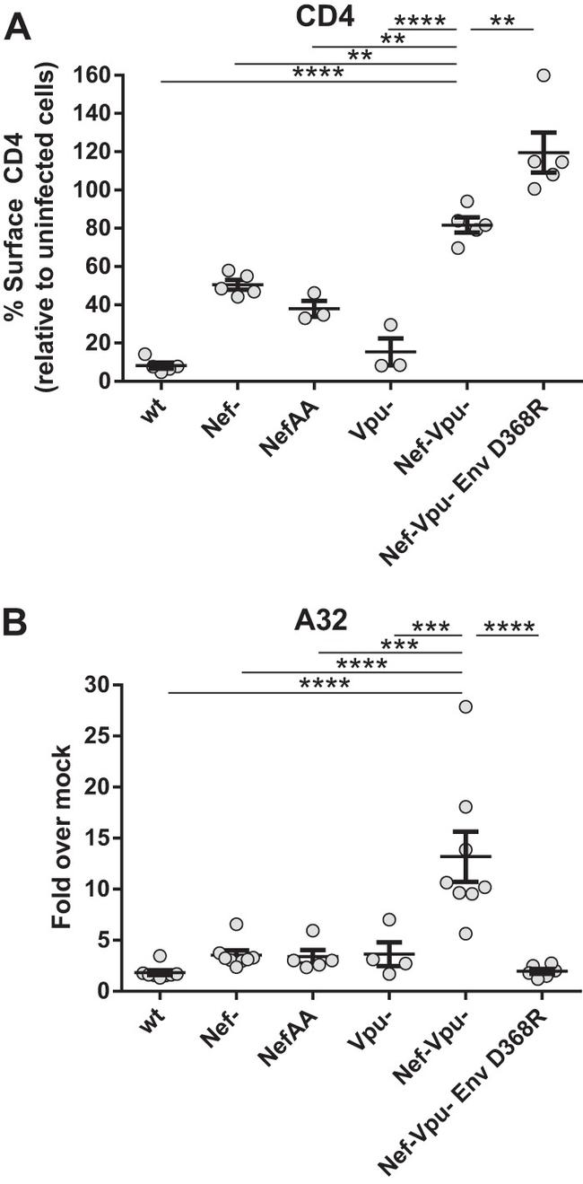 CD4 Antibody in Flow Cytometry (Flow)