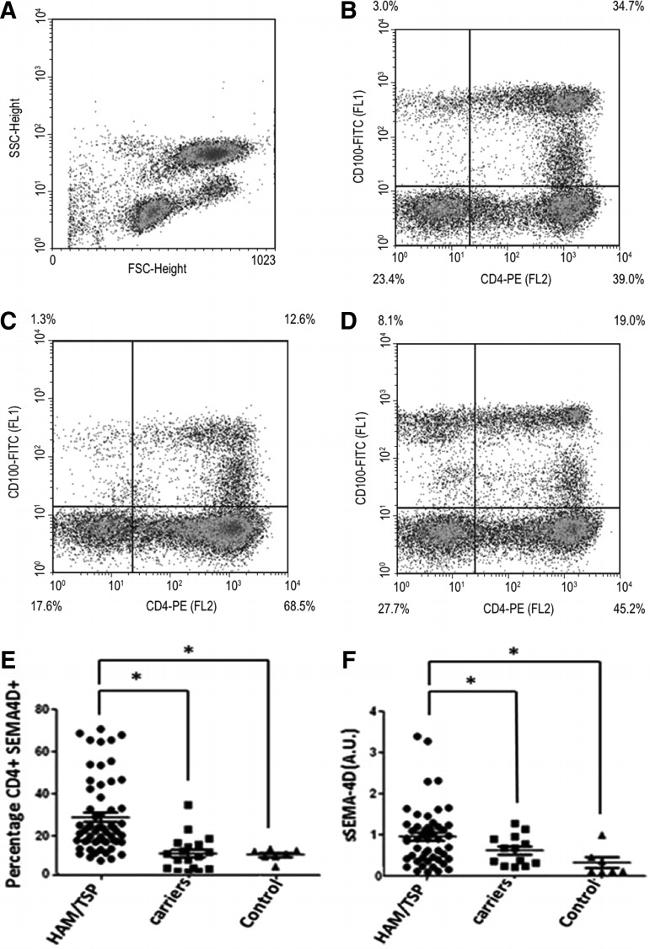 CD4 Antibody in Flow Cytometry (Flow)