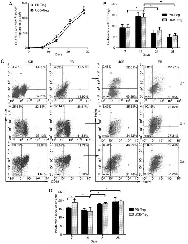 FOXP3 Antibody in Flow Cytometry (Flow)