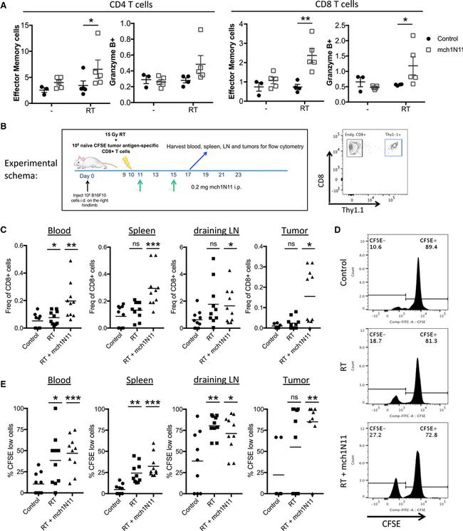 CD62L (L-Selectin) Antibody in Flow Cytometry (Flow)