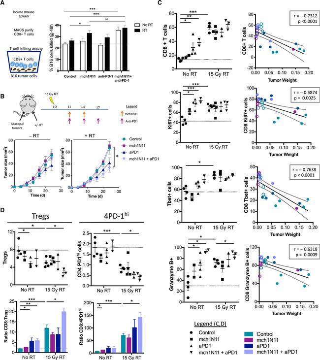 Ki-67 Antibody in Flow Cytometry (Flow)