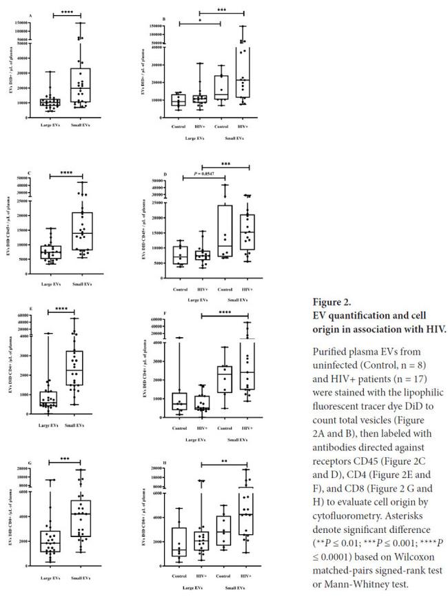 CD4 Antibody in Flow Cytometry (Flow)