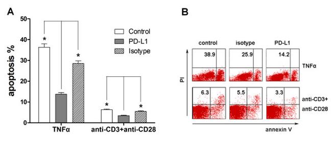 CD279 (PD-1) Antibody in Flow Cytometry (Flow)