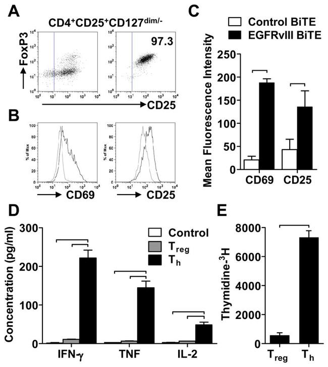 CD4 Antibody in Flow Cytometry (Flow)