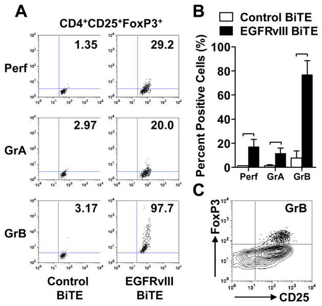 CD4 Antibody in Flow Cytometry (Flow)