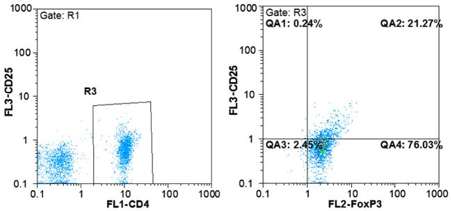 FOXP3 Antibody in Flow Cytometry (Flow)