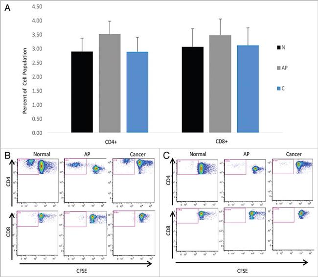 CD8a Antibody in Flow Cytometry (Flow)