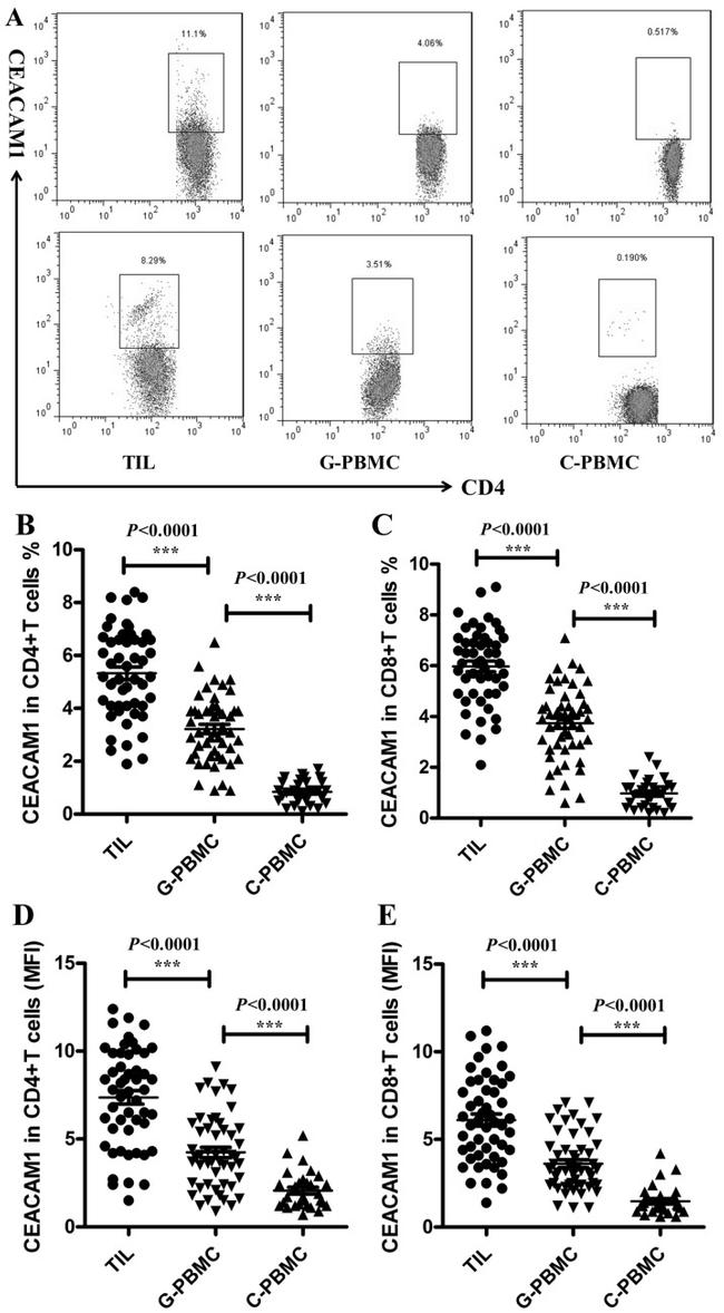 CD4 Antibody in Flow Cytometry (Flow)