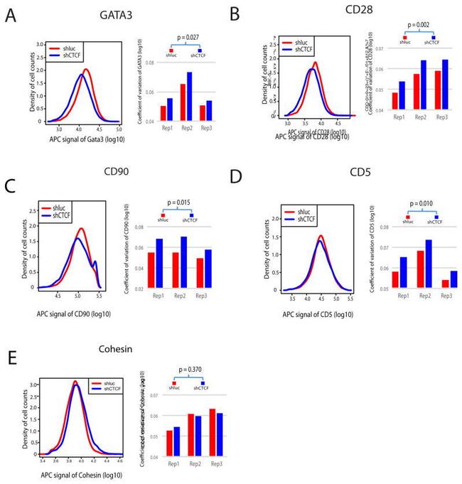 CD5 Antibody in Flow Cytometry (Flow)