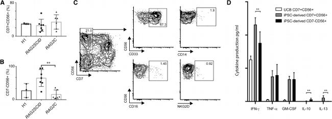 CD7 Antibody in Flow Cytometry (Flow)