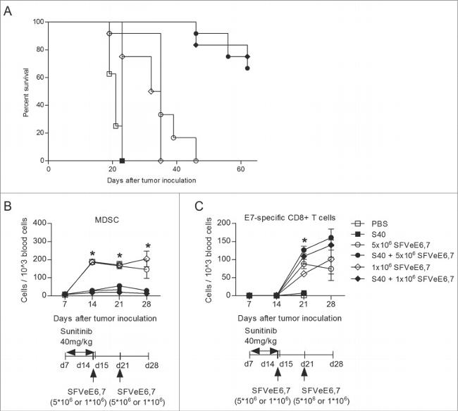 Ly-6G/Ly-6C Antibody in Flow Cytometry (Flow)