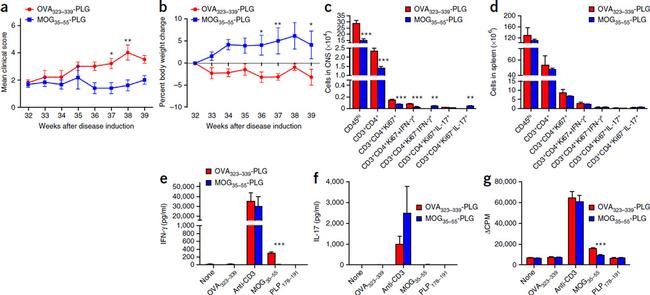 Ki-67 Antibody in Flow Cytometry (Flow)