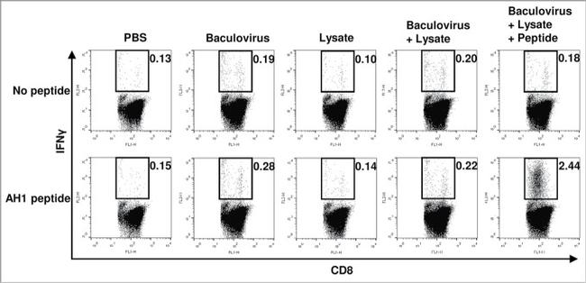 CD8a Antibody in Flow Cytometry (Flow)