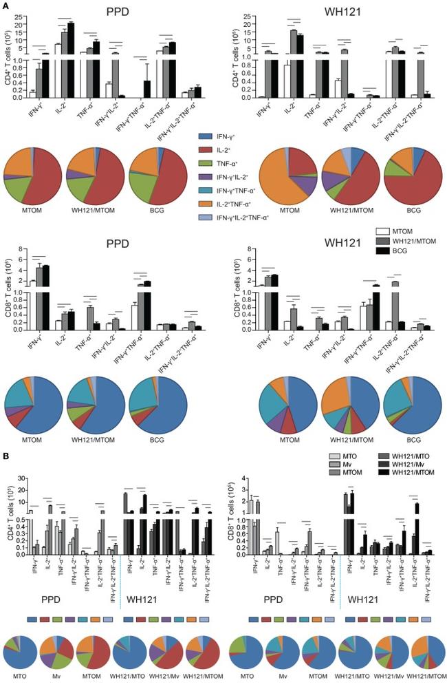 IL-2 Antibody in Flow Cytometry (Flow)