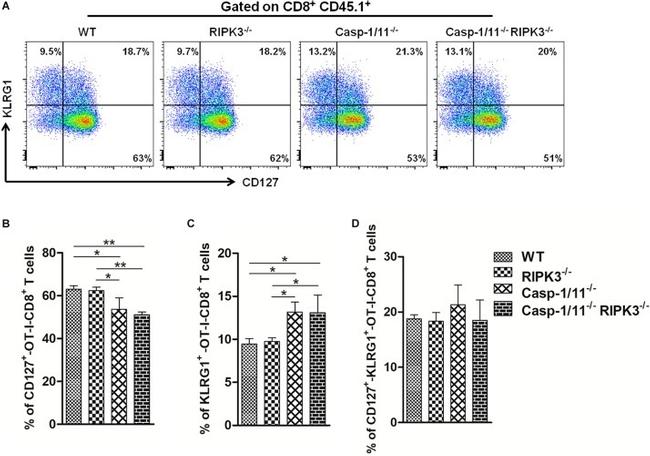 CD127 Antibody in Flow Cytometry (Flow)