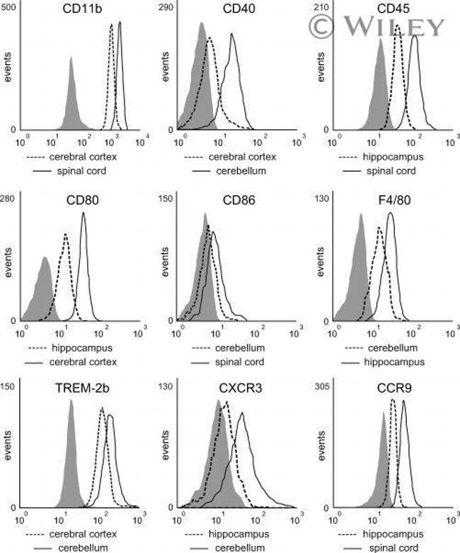 CD40 Antibody in Flow Cytometry (Flow)