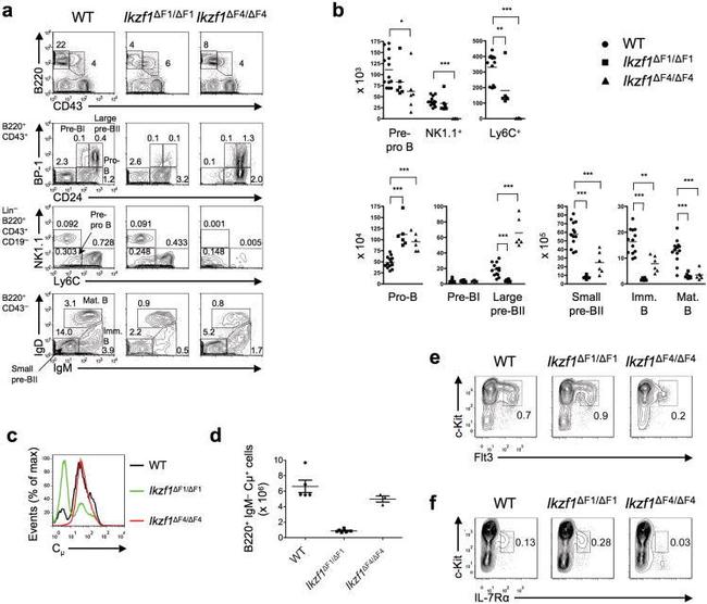 NK1.1 Antibody in Flow Cytometry (Flow)