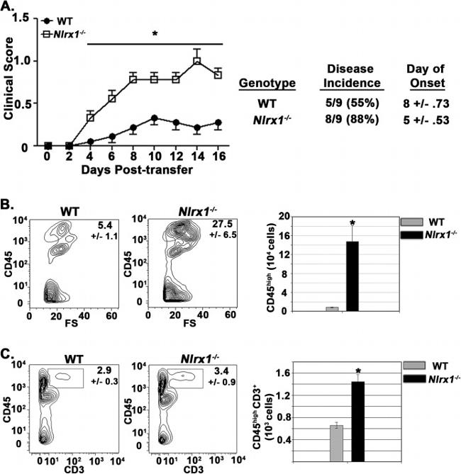 CD3e Antibody in Flow Cytometry (Flow)