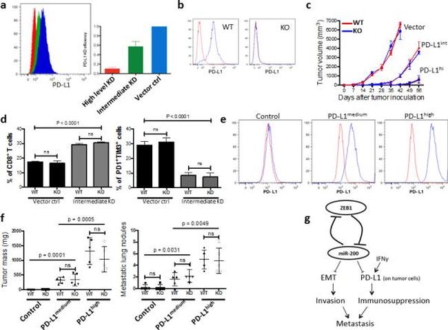 CD8b Antibody in Flow Cytometry (Flow)