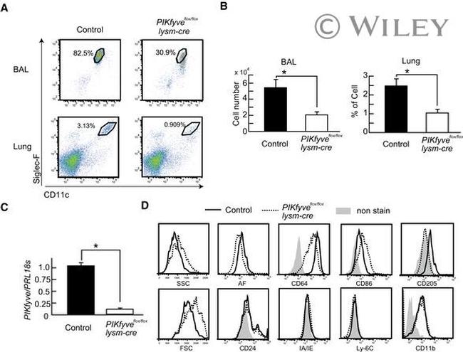 CD205 Antibody in Flow Cytometry (Flow)