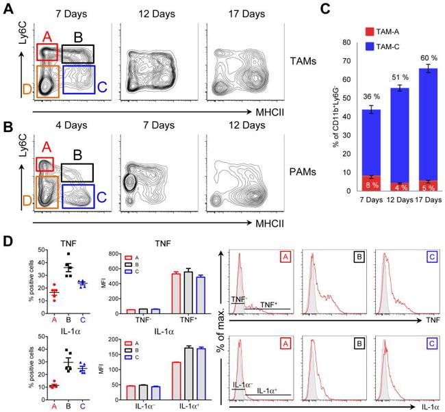 IL-1 alpha Antibody in Flow Cytometry (Flow)