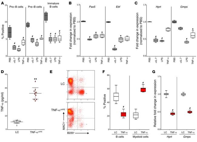 CD45R (B220) Antibody in Flow Cytometry (Flow)