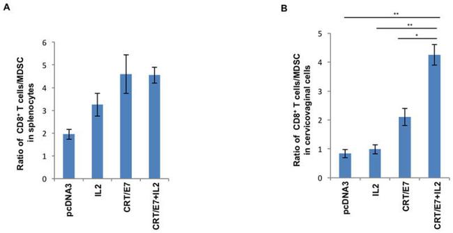 Ly-6G/Ly-6C Antibody in Flow Cytometry (Flow)