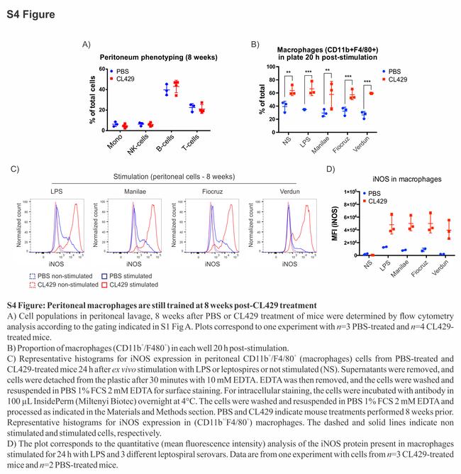 iNOS Antibody in Flow Cytometry (Flow)