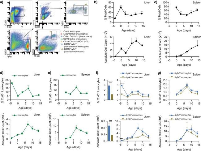 MHC Class II (I-A/I-E) Antibody in Flow Cytometry (Flow)