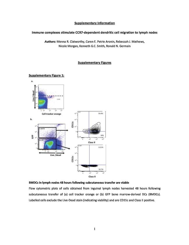 CD103 (Integrin alpha E) Antibody in Flow Cytometry (Flow)