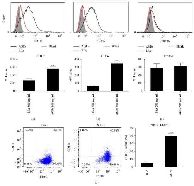 CD11c Antibody in Flow Cytometry (Flow)