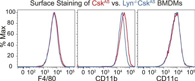 CD11c Antibody in Flow Cytometry (Flow)