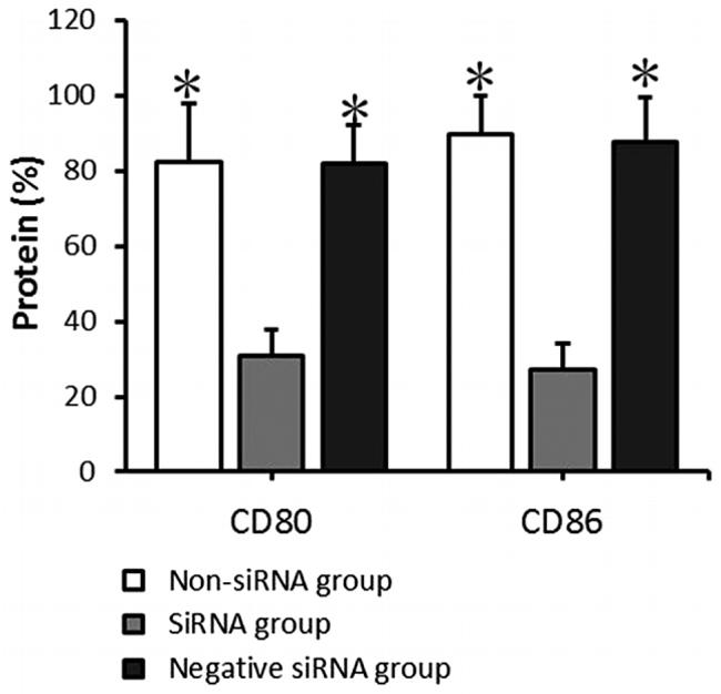 CD80 (B7-1) Antibody in Flow Cytometry (Flow)