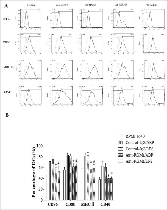 CD80 (B7-1) Antibody in Flow Cytometry (Flow)