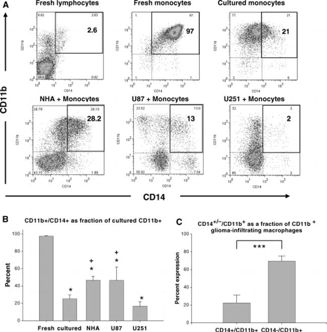 CD11b Antibody in Flow Cytometry (Flow)