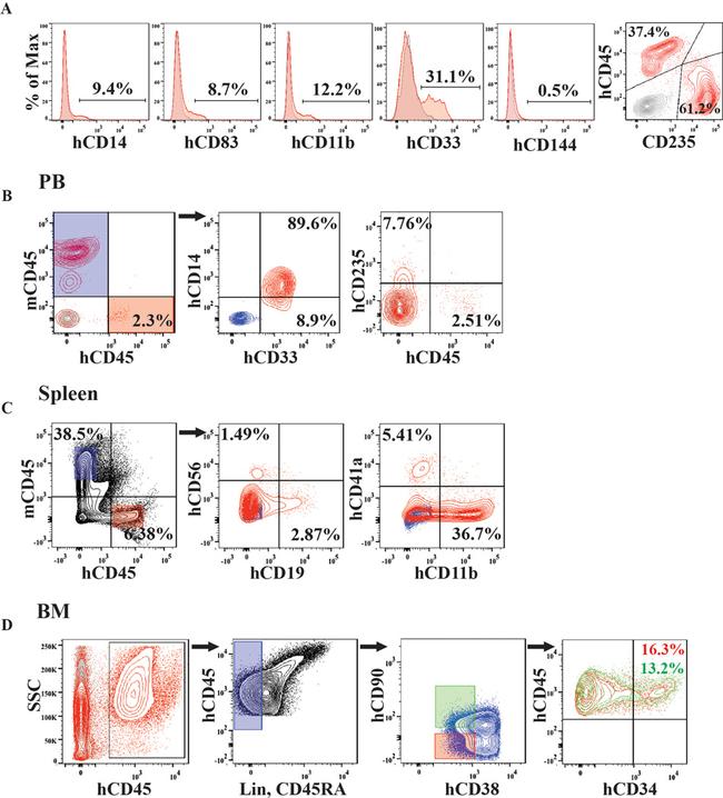 CD43 Antibody in Flow Cytometry (Flow)