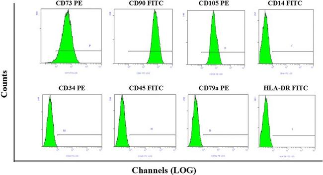 CD34 Antibody in Flow Cytometry (Flow)