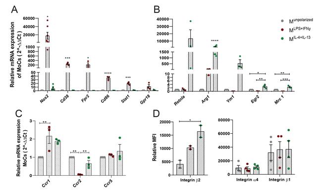 CD18 (LFA-1 beta) Antibody in Flow Cytometry (Flow)