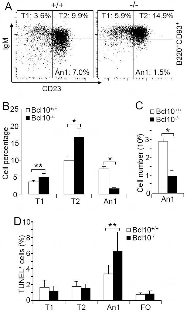 CD23 Antibody in Flow Cytometry (Flow)