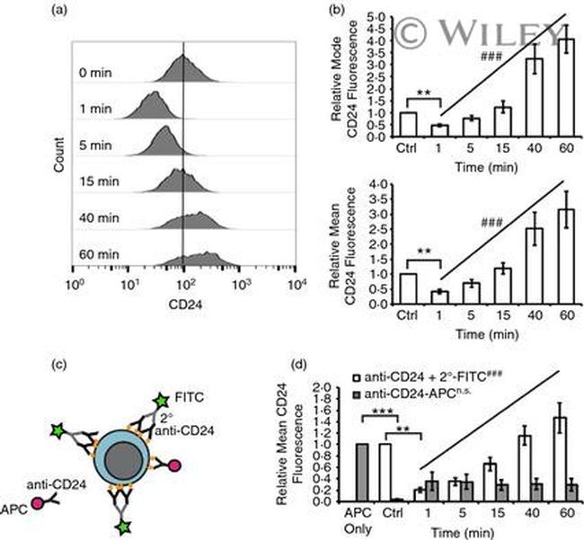 CD24 Antibody in Flow Cytometry (Flow)