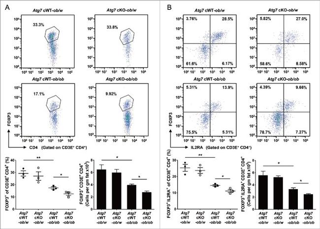 CD25 Antibody in Flow Cytometry (Flow)