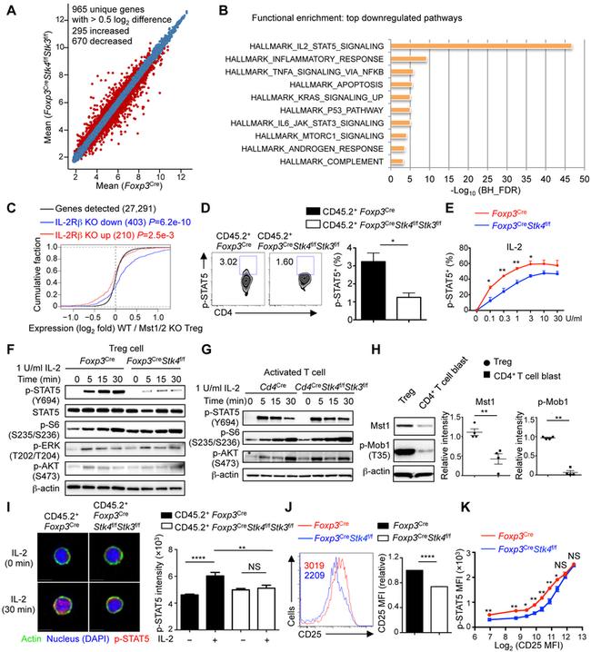 CD25 Antibody in Flow Cytometry (Flow)