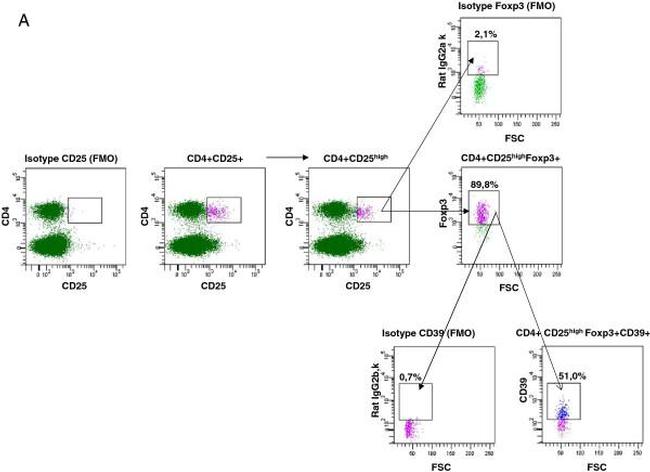 CD39 Antibody in Flow Cytometry (Flow)