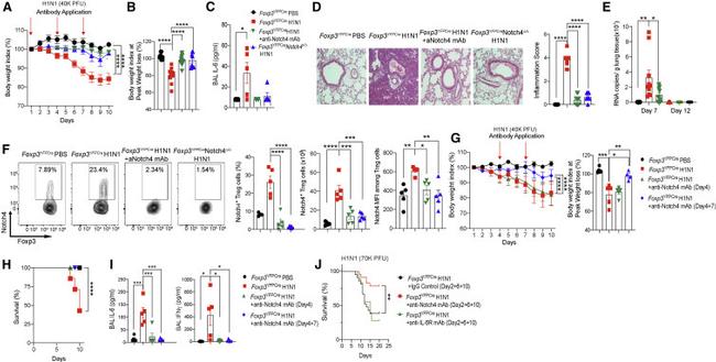 FOXP3 Antibody in Flow Cytometry (Flow)