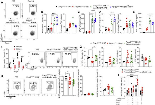 FOXP3 Antibody in Flow Cytometry (Flow)