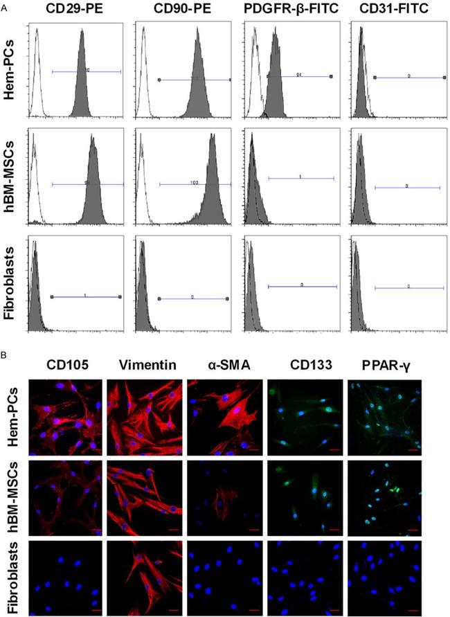 CD29 (Integrin beta 1) Antibody in Flow Cytometry (Flow)