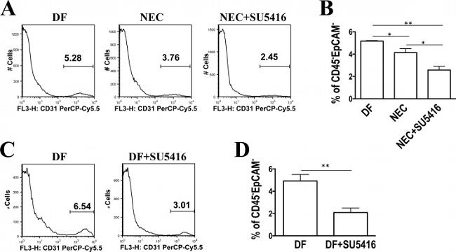 CD31 (PECAM-1) Antibody in Flow Cytometry (Flow)