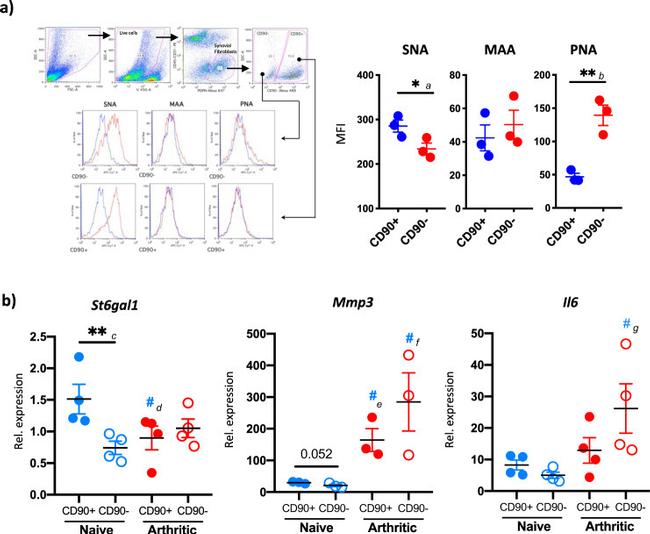 CD31 (PECAM-1) Antibody in Flow Cytometry (Flow)