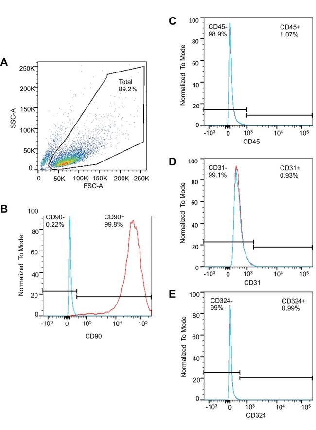 CD45 Antibody in Flow Cytometry (Flow)