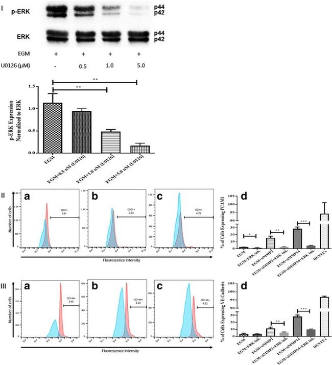 CD31 (PECAM-1) Antibody in Flow Cytometry (Flow)